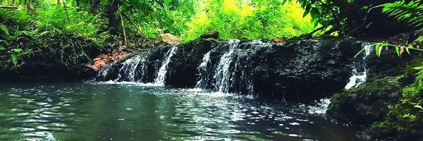 Maredumilli 2 Days Tour Package From Rajahmundry